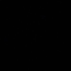 Meet your Posher, Aleena